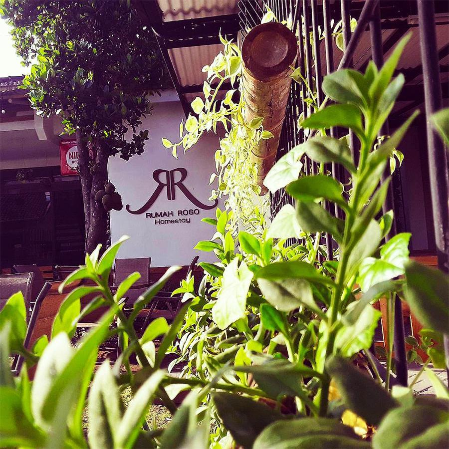 Rumah Roso Homestay Джокьякарта Экстерьер фото